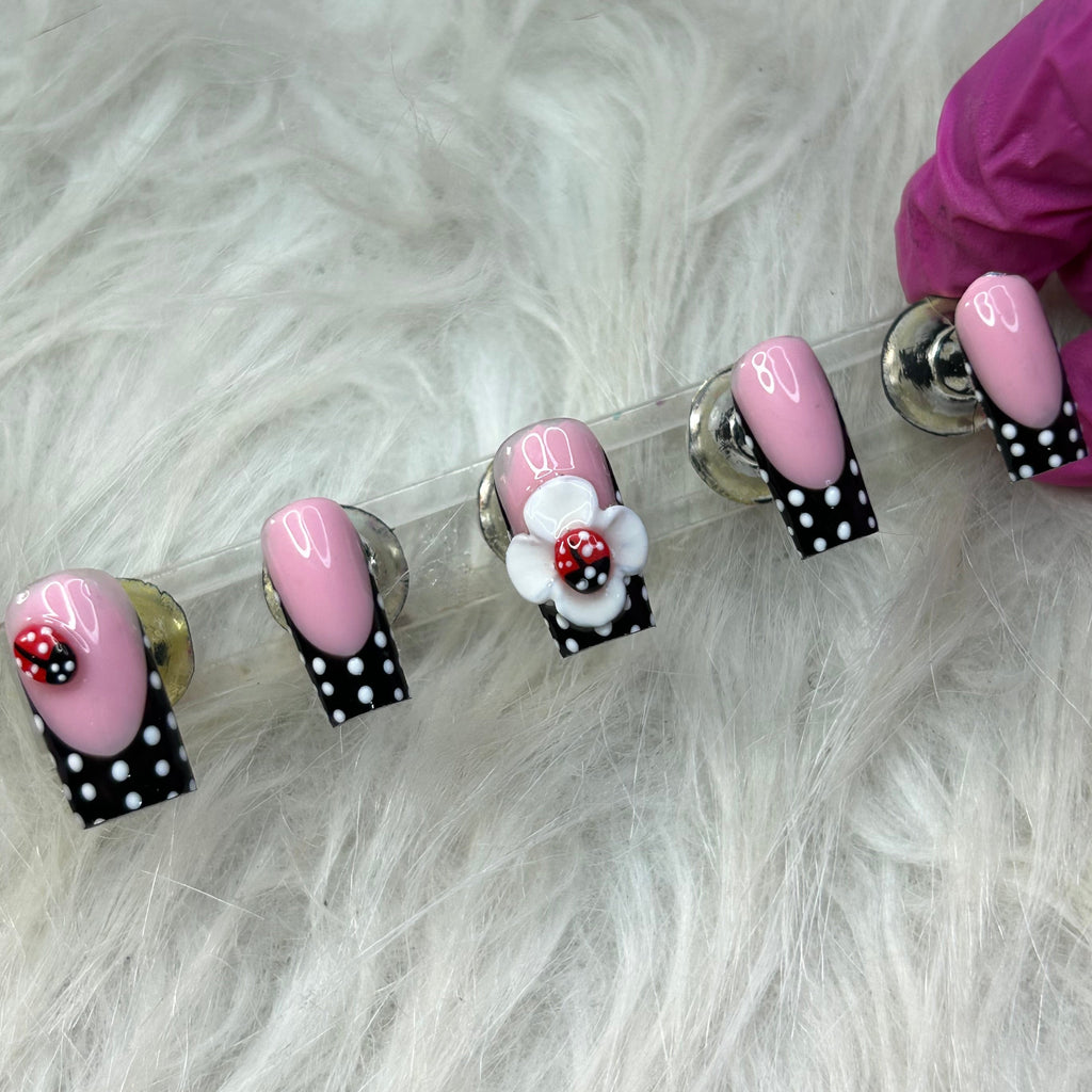 Ladybug